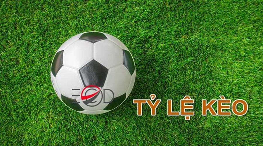 XO88 Tỷ lệ cược là gì? Có những loại nào và hướng dẫn cách đọc các loại tỷ lệ cược